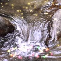 Spring Waters