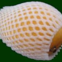 74982-1.jpg
