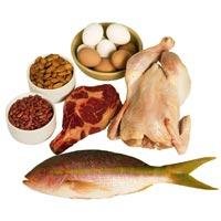 Animal Products