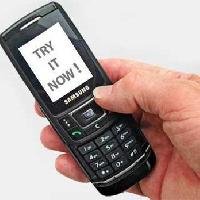 77786-1.jpg