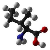 77840-1.jpg