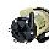 77862-1.jpg