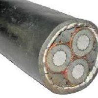 78859-1.jpg