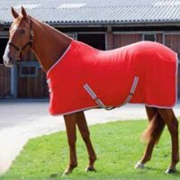 Polar Fleece Rugs