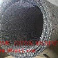 79567-1.jpg