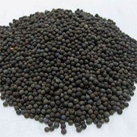 79662-1.jpg