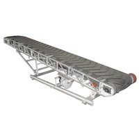 Bag Loading Conveyor