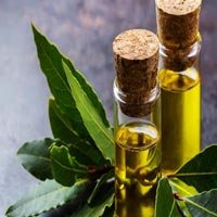 Bay Leaf Oil