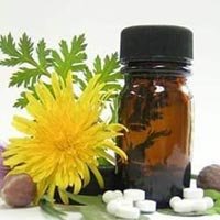 Calamus Oil