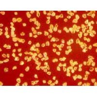 Diamond Micron Powder