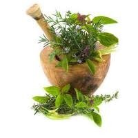 Aromatic Herbs