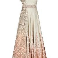 Zari Work Dresses