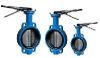 Slimseal Butterfly Valve in Pune