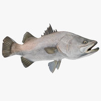 Fish - shellfish Manufacturers Suppliers Exporters in India Fish - shellfish Manufacturers Suppliers Exporters in India