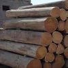 Sudan Teak Wood