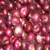 Rose Onion in Pune