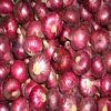 Rose Onion in Thoothukudi