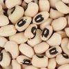 Cowpea Seeds in Ahmedabad