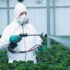 Chemical Pesticides in Indore