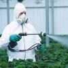 Chemical Pesticides in Indore