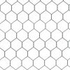 Hexagonal Fence
