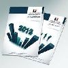Annual Reports Services