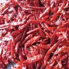 Indian Red Chilli in Guntur