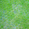 PVC Grass Pavers