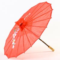 Umbrella & Raincoats