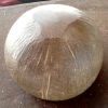 Polished Coconut Shells