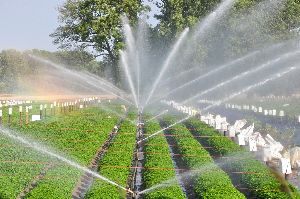 Land Mowers, Gardening & Landscaping Services