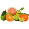 Citrus Fruit in Hospet