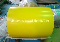 Color Steel Coil