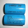 Lithium Primary Batteries