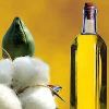 Organic Cottonseed Oil