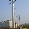 Monopoles Towers in Delhi