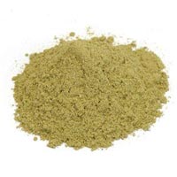 Oregano Powder - Latest Price from Manufacturers, Suppliers & Traders