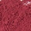 Dehydrated Beetroot Powder in Surat