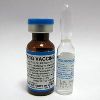 BCG Vaccine
