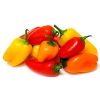 Sweet Peppers in Nagapattinam