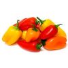 Sweet Peppers in Kolar