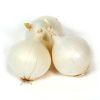 White Onion