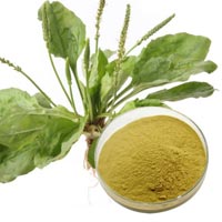 Herbal and Ayurvedic Extract