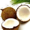 Husked Coconut in Malappuram