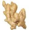 Organic Ginger