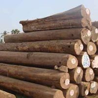 Indian Teak Wood