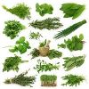 Ayurvedic Medicinal Herbs