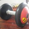 Rubber Dumbbell in Dera Bassi