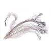 EMU Feather