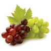 Fresh Grapes in Bharuch